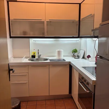 Premium 1 One Bedroom Maksim Gorki Street 8 * Escópia